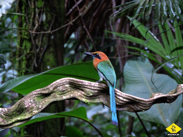 La Fortuna Waterfall Hike