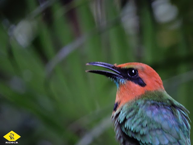 Educational Tour at Eco Centro Danaus