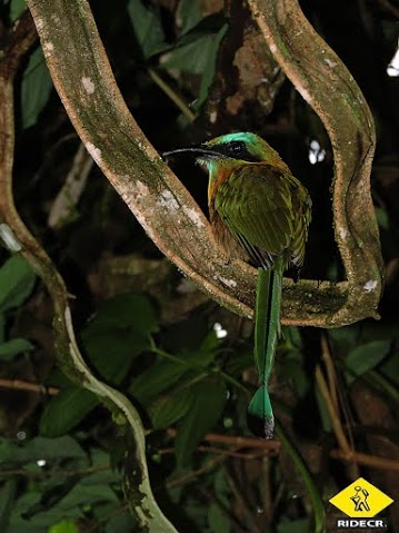 Educational Tour at Eco Centro Danaus