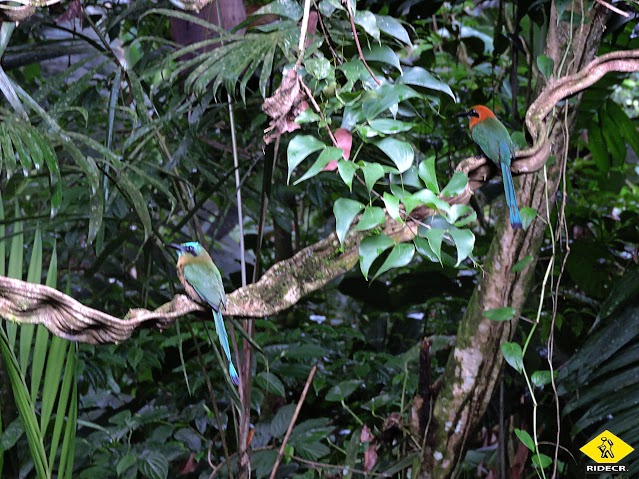 Educational Tour at Eco Centro Danaus