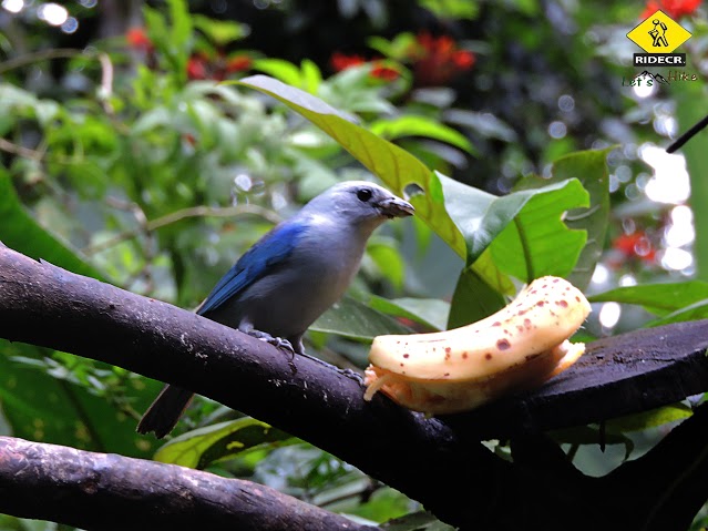 Educational Tour at Eco Centro Danaus