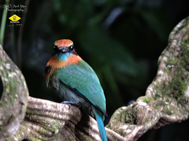 Educational Tour at Eco Centro Danaus