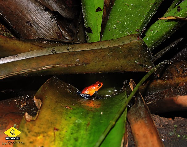 Educational Tour at Eco Centro Danaus