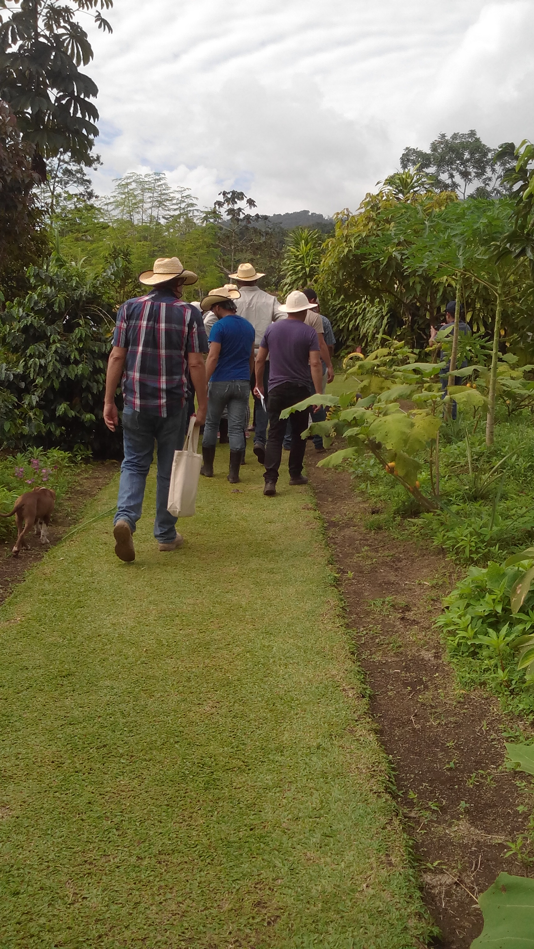 Educational Tour at Don Juan Farm
