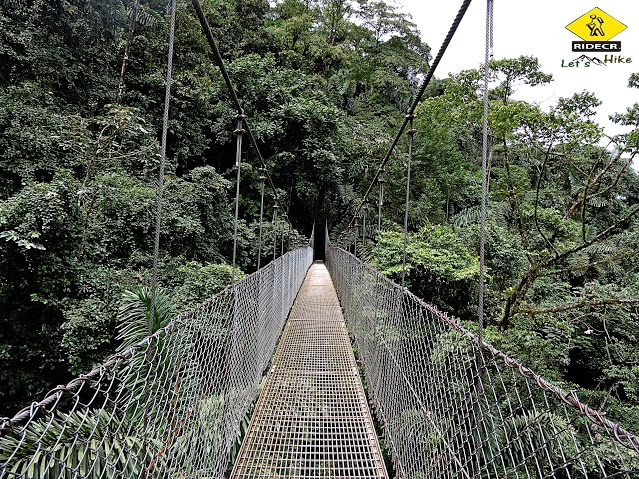 Hanging Bridges Natural History Walk