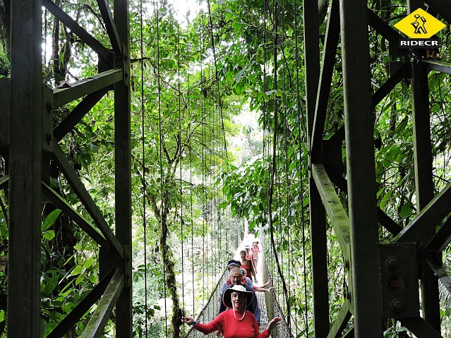 Hanging Bridges Natural History Walk