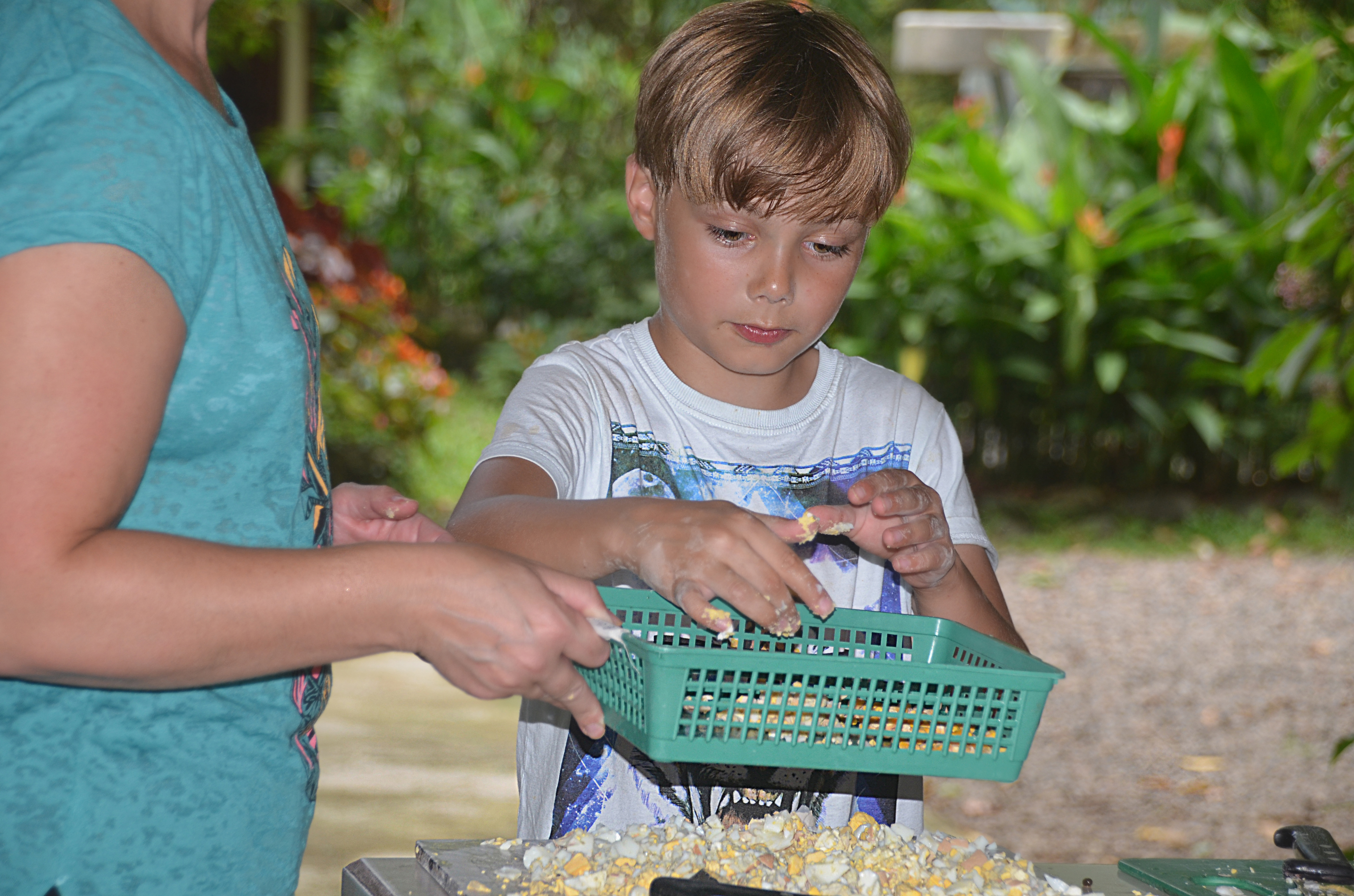 Proyecto Asis Wildlife Rescue Center