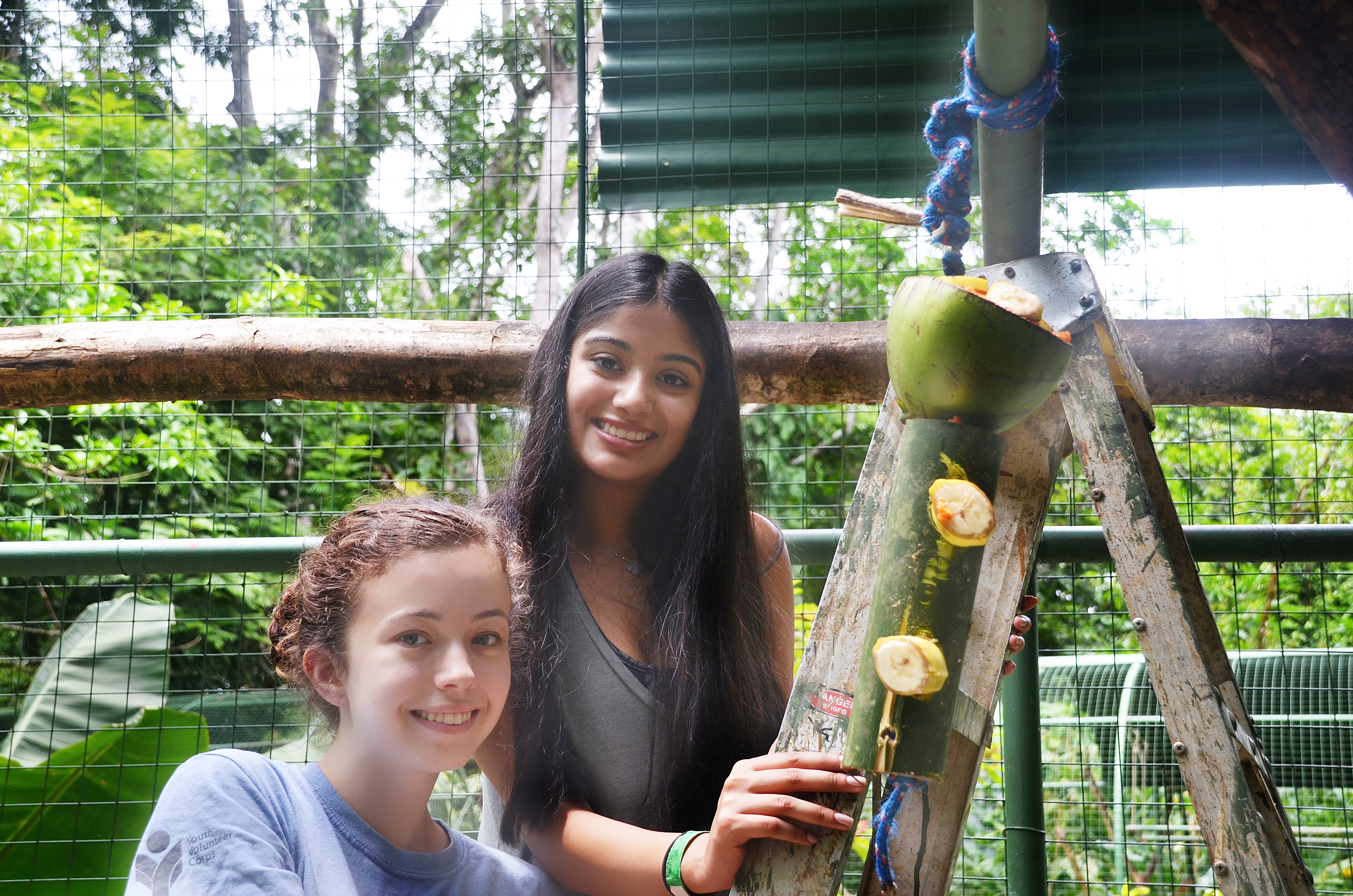 Proyecto Asis Wildlife Rescue Center