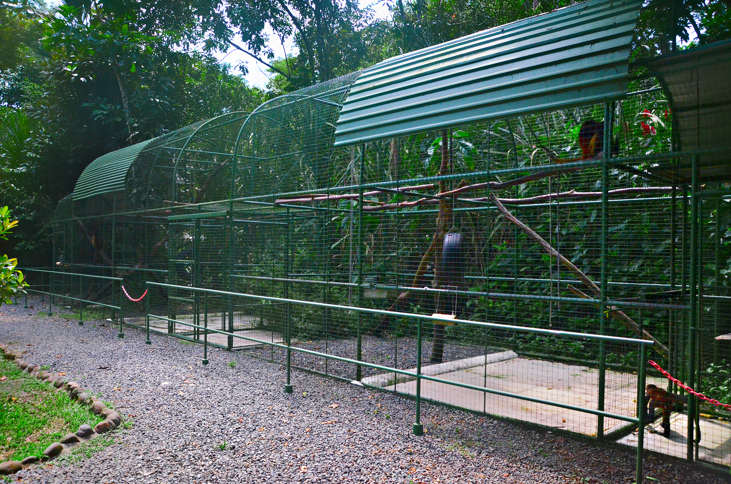 Proyecto Asis Wildlife Rescue Center