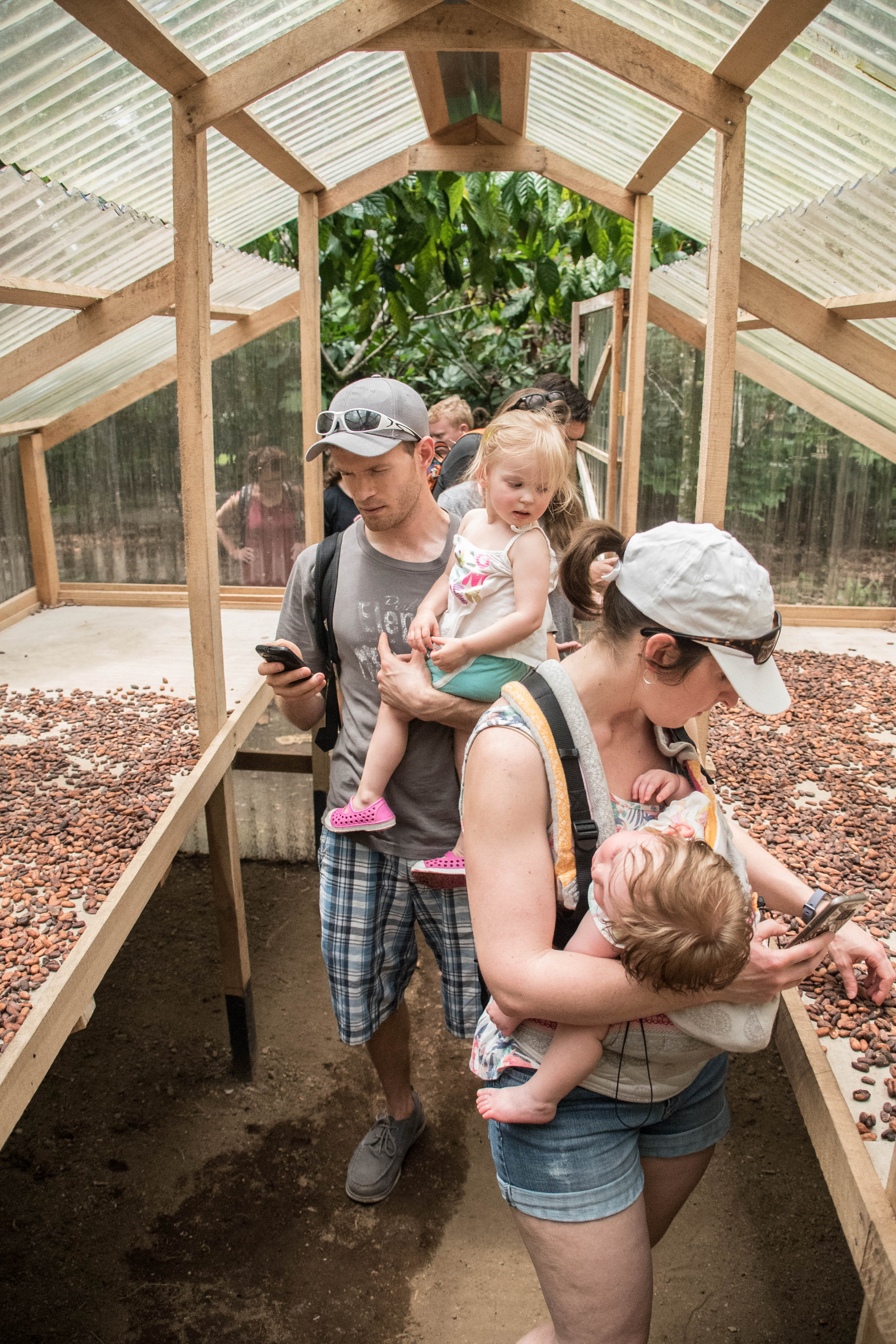 Rainforest Chocolate Tour