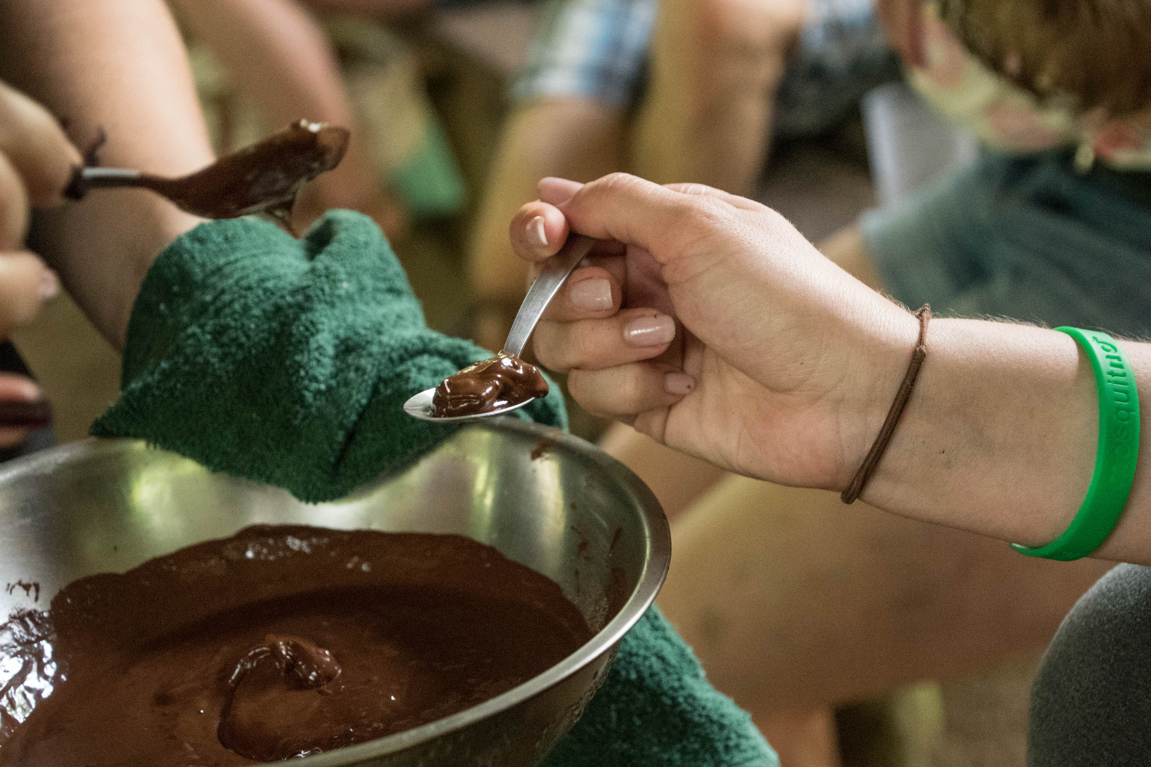 Rainforest Chocolate Tour