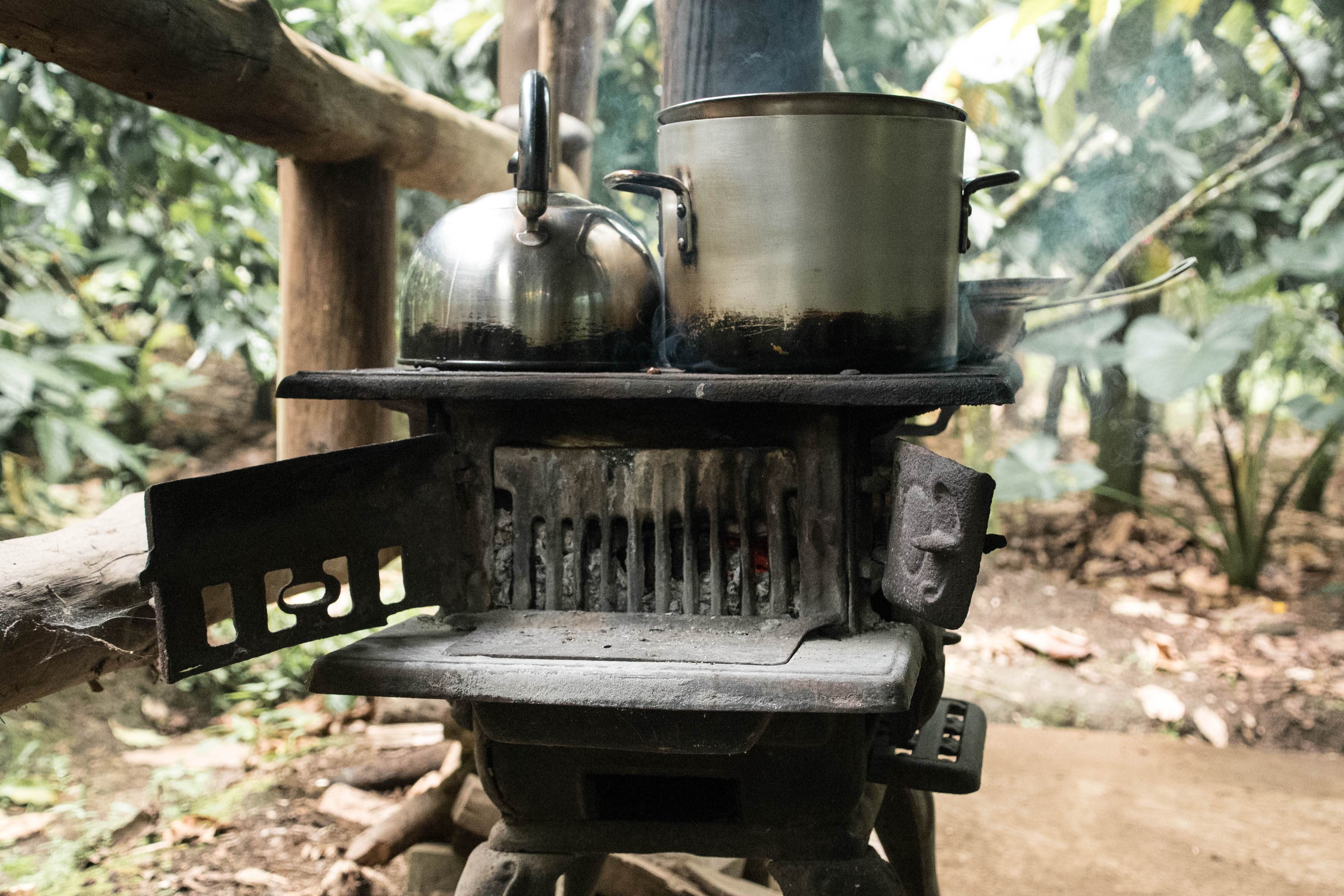 Rainforest Chocolate Tour