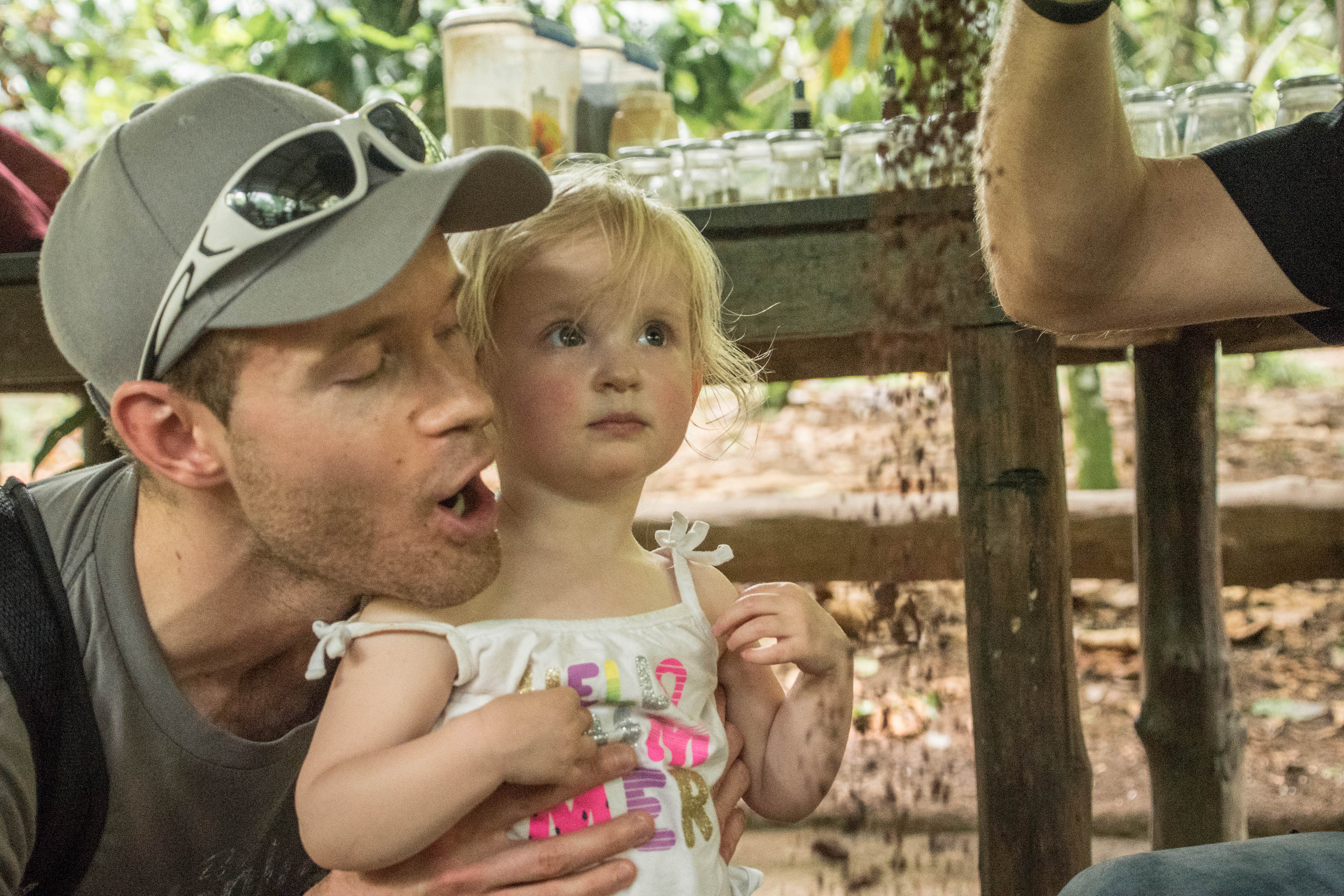 Rainforest Chocolate Tour