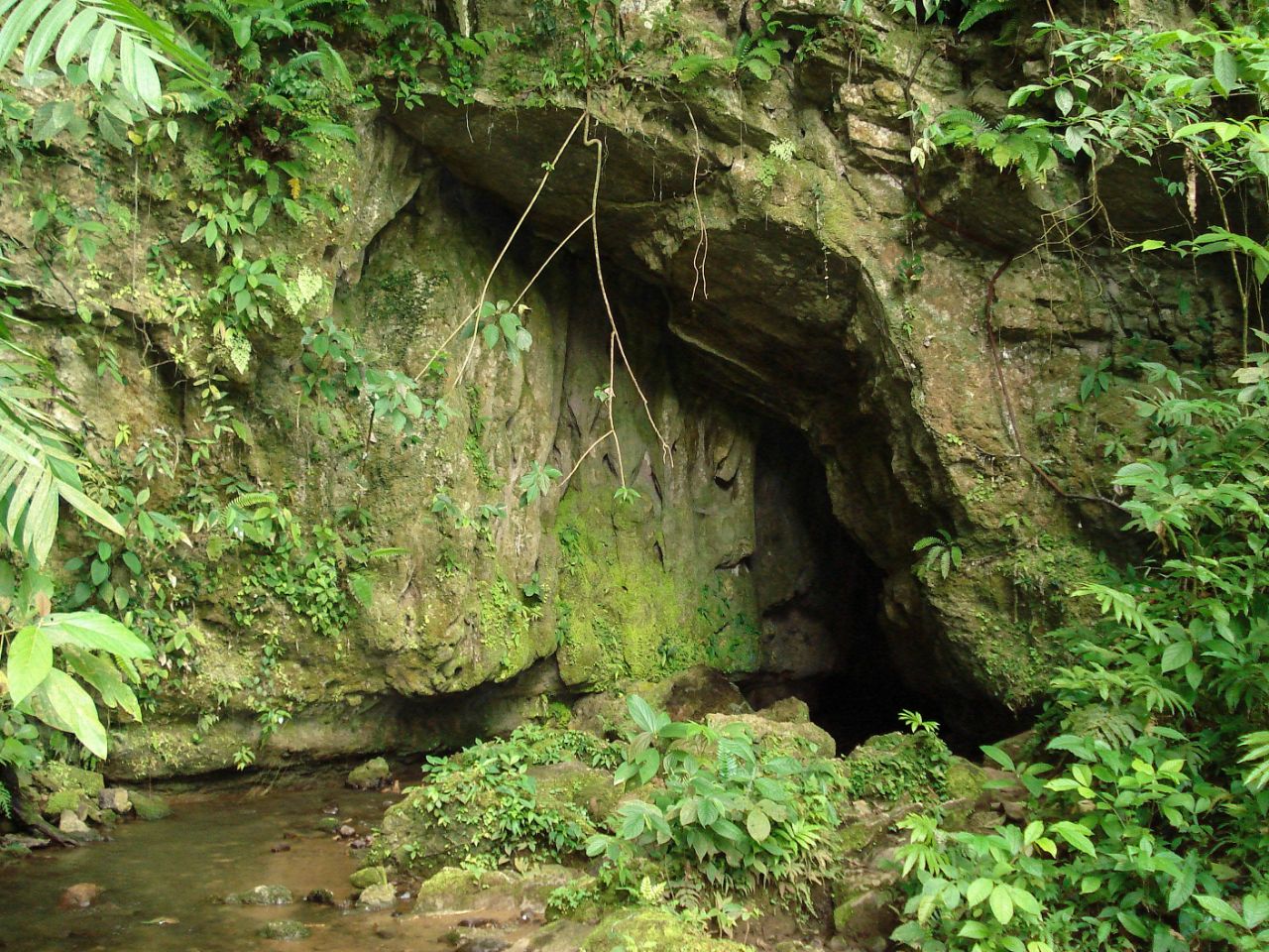 Exploration Tour at Venado Caves