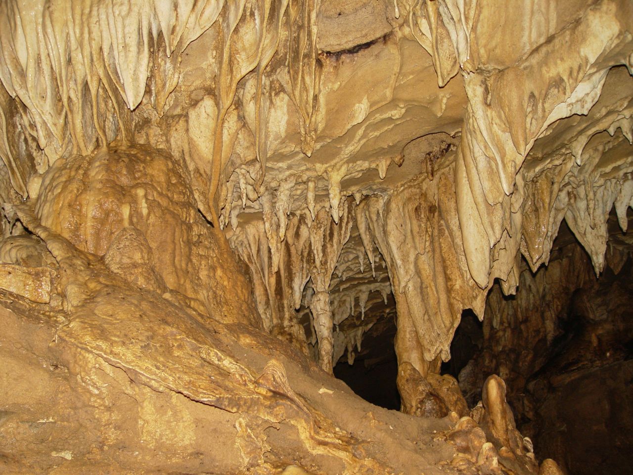 Exploration Tour at Venado Caves
