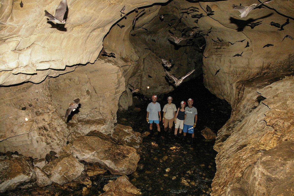 Exploration Tour at Venado Caves